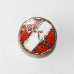 Odznaka UT Arad herb, mała (emalia)