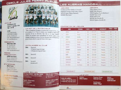 Francuskie ligi piłki ręcznej. Przewodnik dla mediów 2006-2007