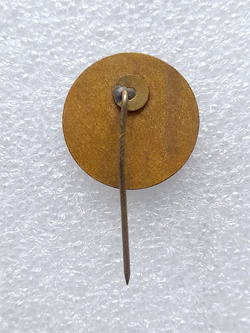 Odznaka Litewska Federacja Hokeja na Lodzie, stara (emalia)