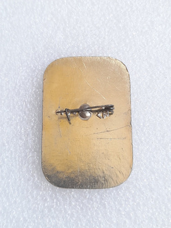 Odznaka hokej na lodzie Prokopiewsk 1974 (ZSRR, lakier) 