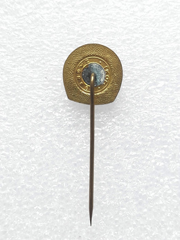 Odznaka FK Radnicki Obrenovac (Serbia, epoksyd, sygnowana) 