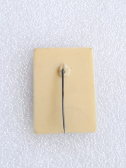 Odznaka Mecz Polska - Anglia, eliminacje Mistrzostw Świata 6.6.1973 (PRL, plastikowa) 