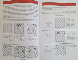 Trzy kroki w szachowy świat. Pryncypia i niuanse królewskiej gry. Część 3
