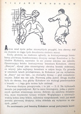 Bramkarz republiki (powieść sportowa)