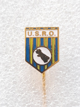 Odznaka  US Ris Orangis (Francja, lakier, sygnowana)