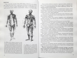 Bieganie dla zdrowia i zabawy