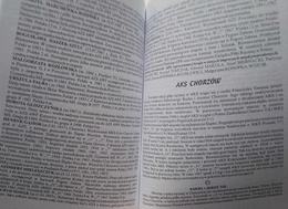 Piłka ręczna na Śląsku (1929 - 2004)