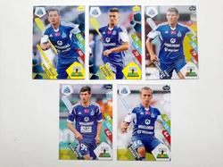 Karty piłkarze Ruch Chorzów 5 sztuk (Ekstraklasa 2014-2015, Panini Adrenalyn XL)