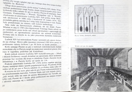 Opowieści tenisowe z myszką