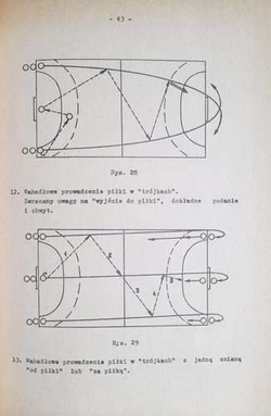 Wybrane zagadnienia z treningu i taktyki w piłce ręcznej