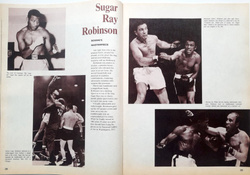 Magazyn The Ring - Super Gwiazdy, Świetni Rywale, Świetne Walki (wydanie specjalne)