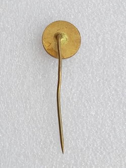 Odznaka TJ TZ Trinec hokej na lodzie (Czechy, epoksyd) 