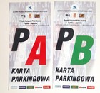 Bilety Karty Parkingowe mecz towarzyski Polska - Japonia (27.3.2002, Łódź) - 2 sztuki