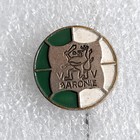 Odznaka VV Baronie Breda (lakier)