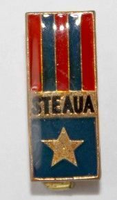 Odznaka Steaua Bukareszt prostokąt (polewa epoksydowa)