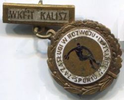 Za Zasługi w Rozwoju Sportu i Turystyki WKFiT Kalisz (emalia)