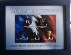 Zestaw w ramce 5 odznak trofea piłki nożnej Francja (produkt oficjalny) - kolekcja ekskluzywna