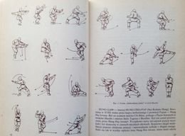 Kung Fu/Wu Shu. Chińska sztuka walki