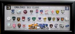 Odznaki kluby francuskich lig rugby Top 14 i Pro D2 sezon 2020-2021 w ramce - 30 sztuk (produkt oficjalny)