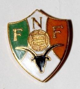 Piłkarski Związek Nigru (emalia, z sygnaturą)