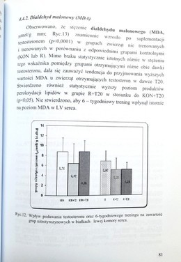 Wpływ treningu wytrzymałościowego i testosteronu na status antyoksydacyjny i białka szoku cieplnego HSP70(72) w lewej komorze serca i mięśniu płaszczkowatym u szczurów (AWF Katowice)